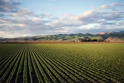 Farmers weigh diversity of crops against trade wars, weather