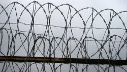 Trump administration asks Supreme Court to end humanitarian parole for four countries