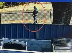 Search underway for Los Gatos Creek Trail sexual assault suspect