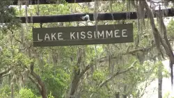 An alligator kills a Florida woman after tipping over her canoe, investigators say